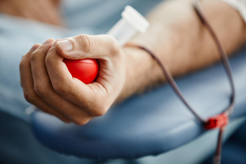 Você sabia que doadores de sangue têm direito a meia-entrada em eventos no Rio Grande do Sul?